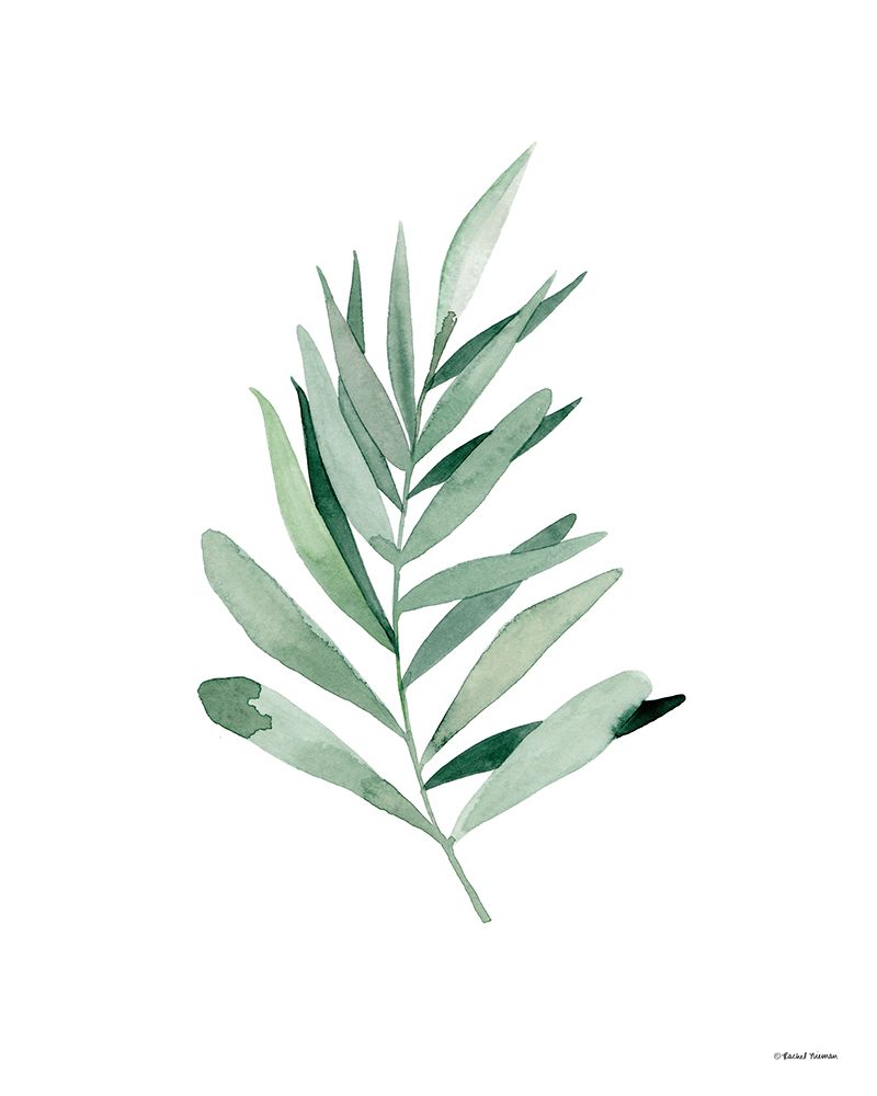 Watercolor Botanical I art print by Rachel Nieman for $57.95 CAD