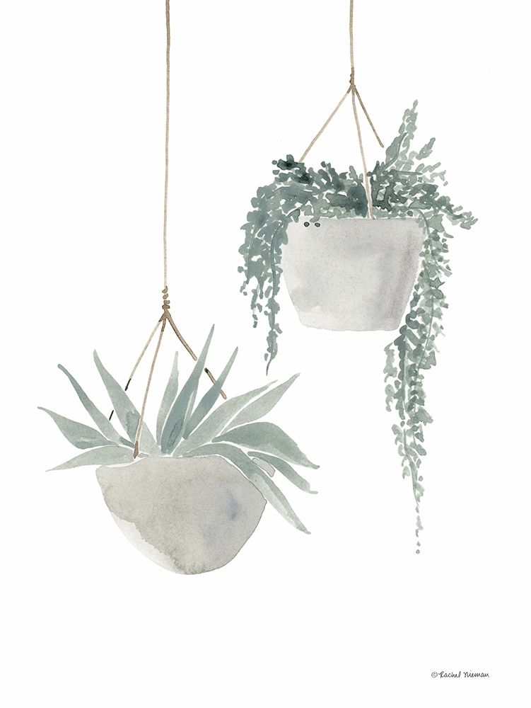 Sage Hanging Planters art print by Rachel Nieman for $57.95 CAD