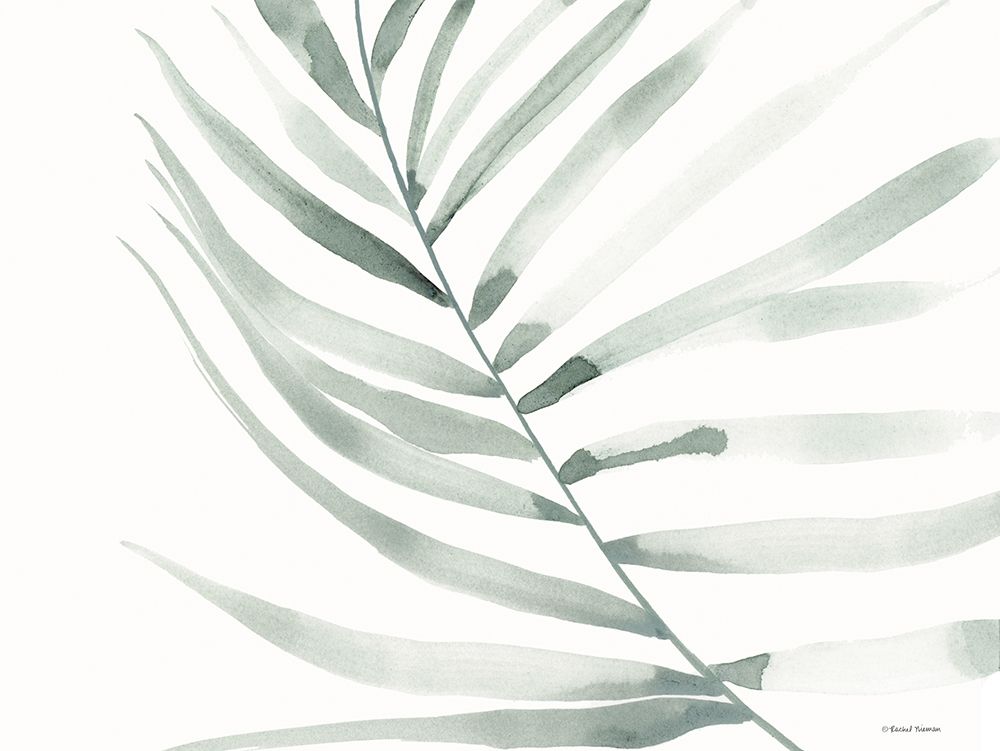 Sage Fern Leaf art print by Rachel Nieman for $57.95 CAD