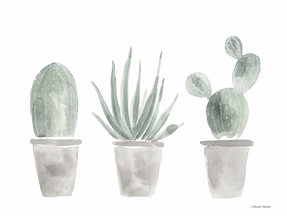 Sage Cactus Trio art print by Rachel Nieman for $57.95 CAD