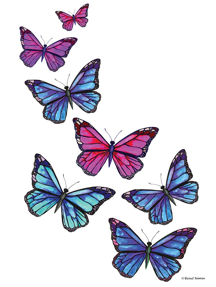 Vibrant Flying Butterflies art print by Rachel Nieman for $57.95 CAD