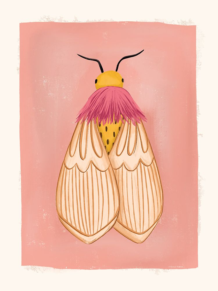 Boho Moth art print by Rachel Nieman for $57.95 CAD