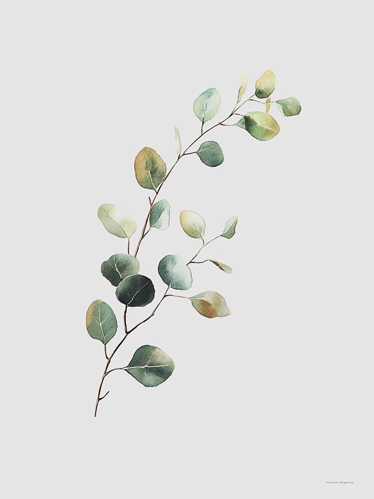 Eucalyptus Whisper art print by Svetlana Aleinikova for $57.95 CAD