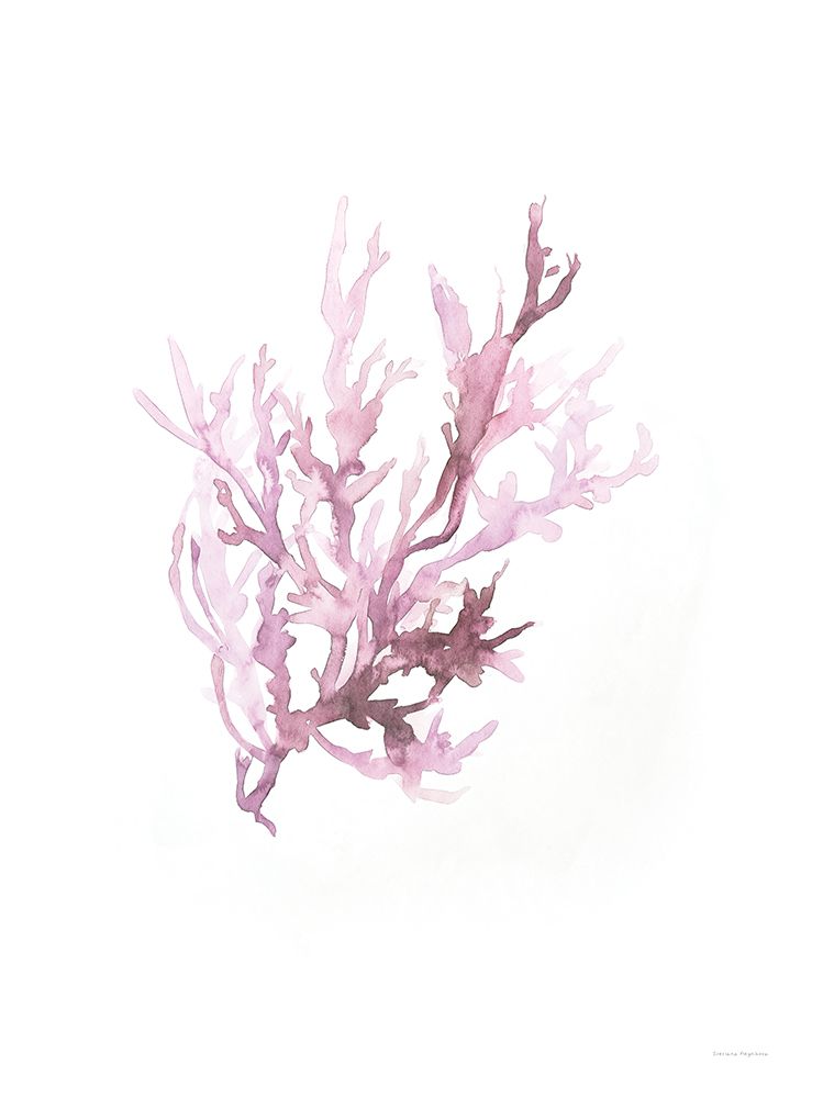 Coral Bliss art print by Svetlana Aleinikova for $57.95 CAD