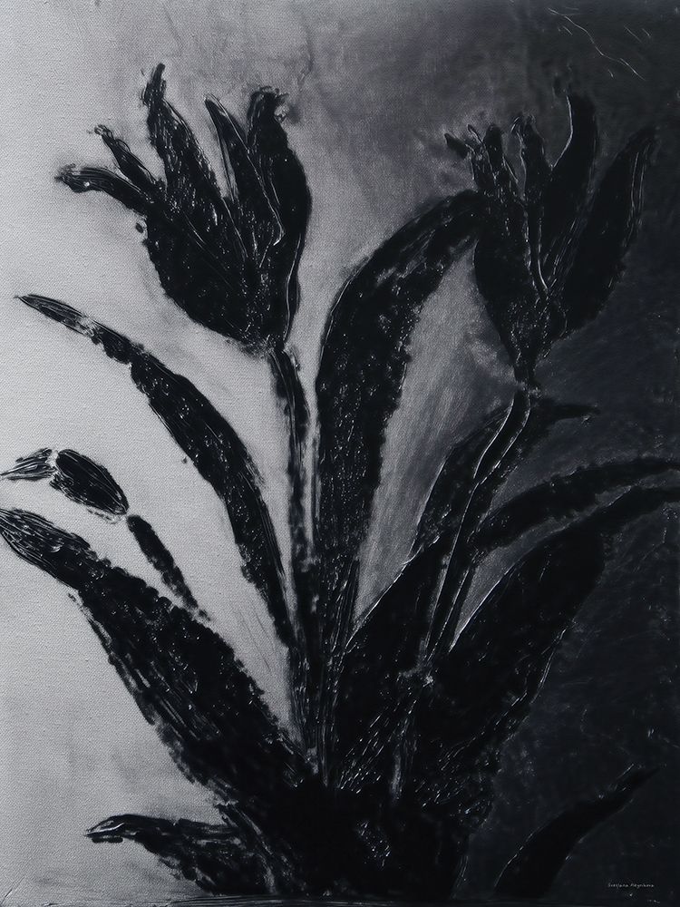 Shadow Botanica art print by Svetlana Aleinikova for $57.95 CAD