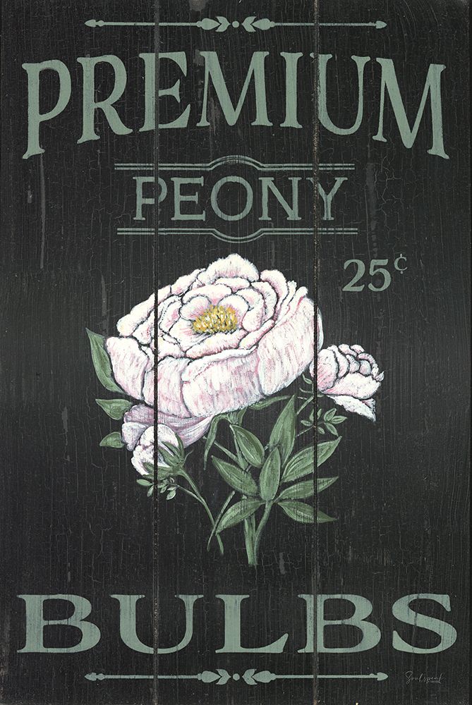 Peony Blubs art print by Soulspeak And Sawdust for $57.95 CAD