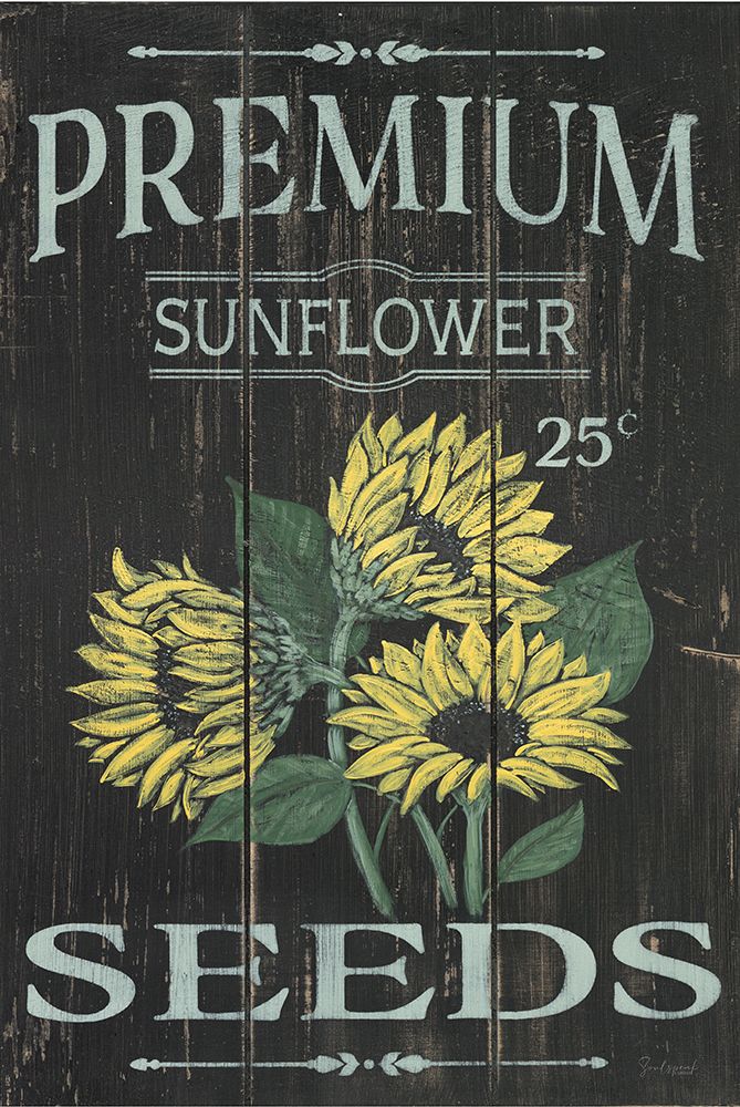 Sunflower Seeds art print by Soulspeak And Sawdust for $57.95 CAD