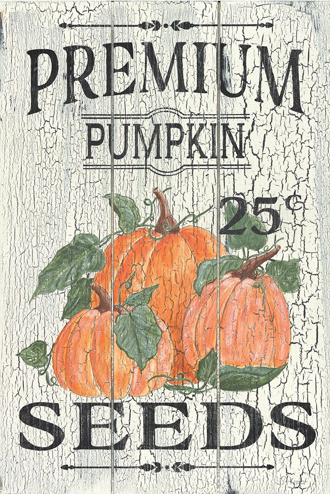 Pumpkin Seeds art print by Soulspeak And Sawdust for $57.95 CAD