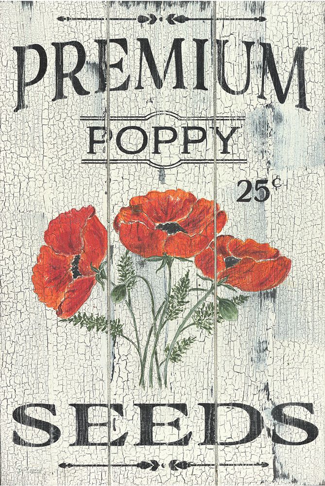 Poppy Seeds art print by Soulspeak And Sawdust for $57.95 CAD