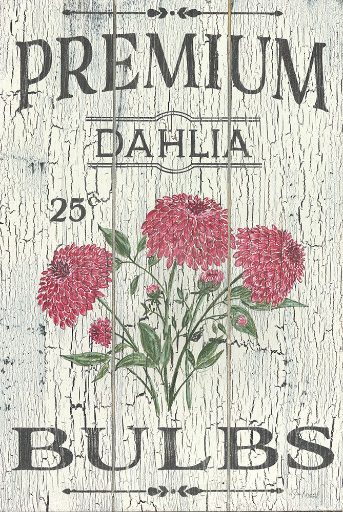 Dahlia Bulbs art print by Soulspeak And Sawdust for $57.95 CAD