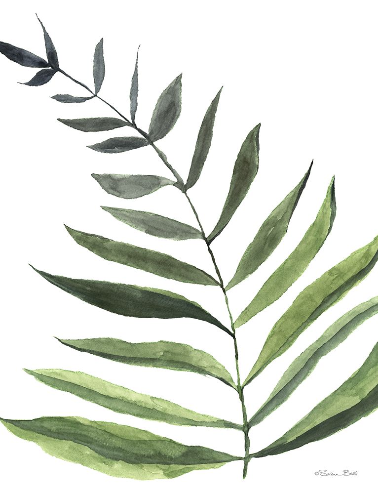 Fern 1 art print by Susan Ball for $57.95 CAD