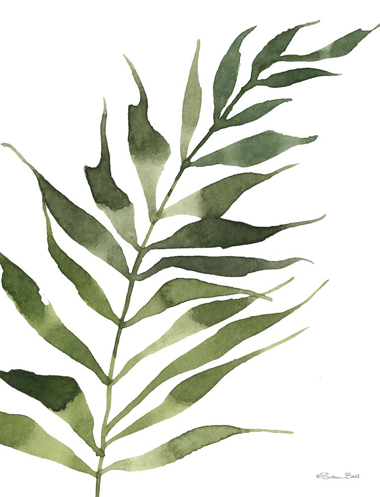 Fern 2 art print by Susan Ball for $57.95 CAD