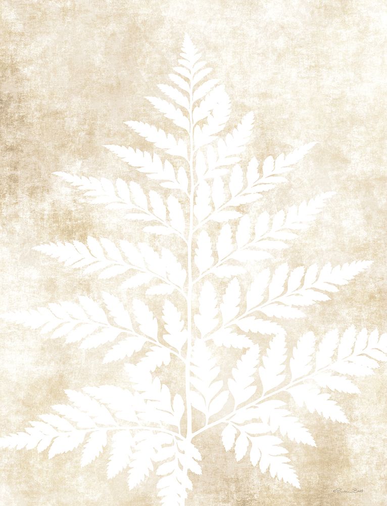 Fern Frond 3 art print by Susan Ball for $57.95 CAD