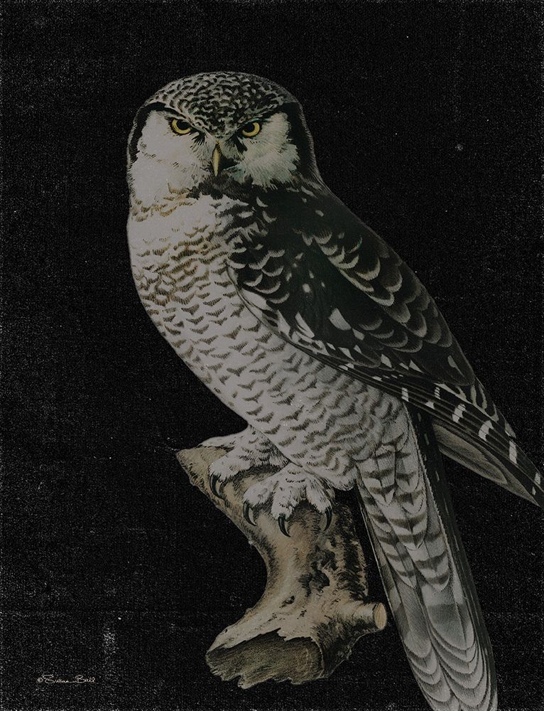 Moody Owl art print by Susan Ball for $57.95 CAD