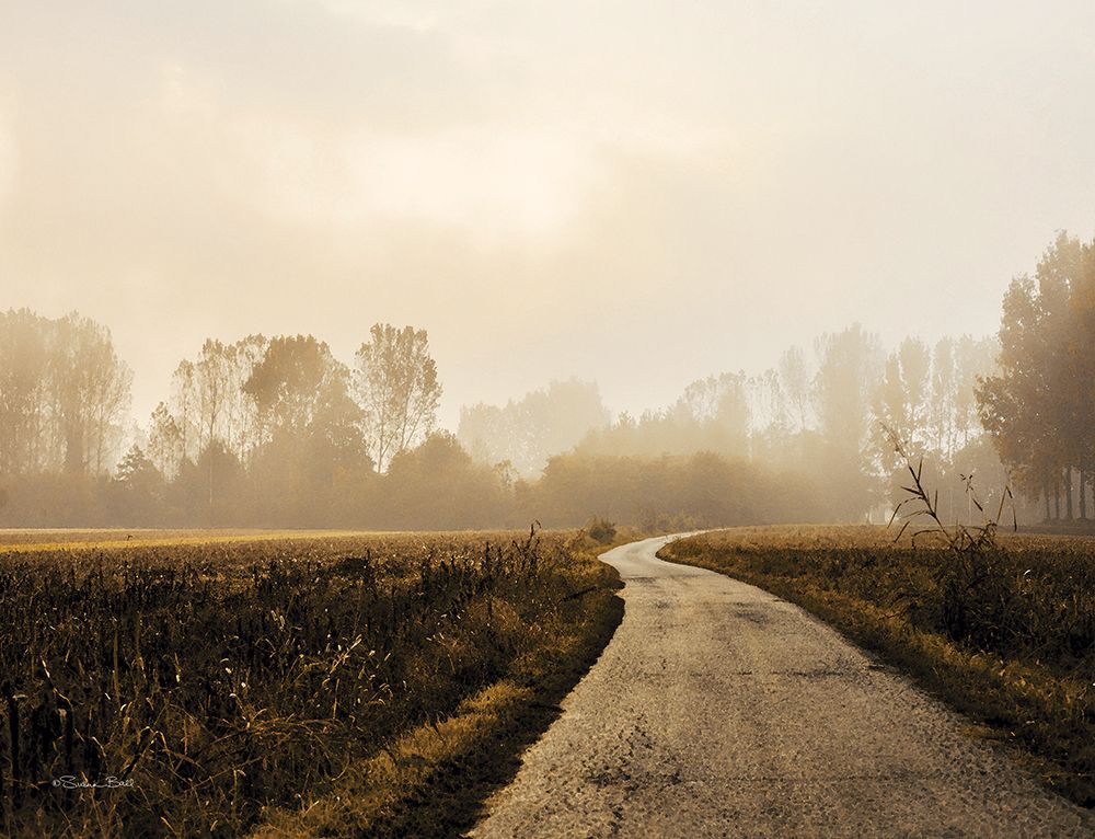 Country Road art print by Susan Ball for $57.95 CAD