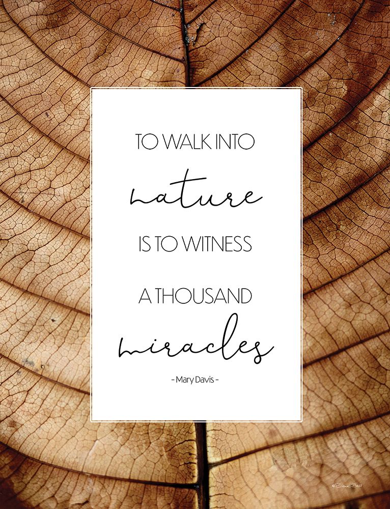 A Thousand Miracles art print by Susan Ball for $57.95 CAD