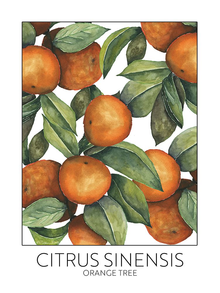 Orange Tree art print by Susan Ball for $57.95 CAD