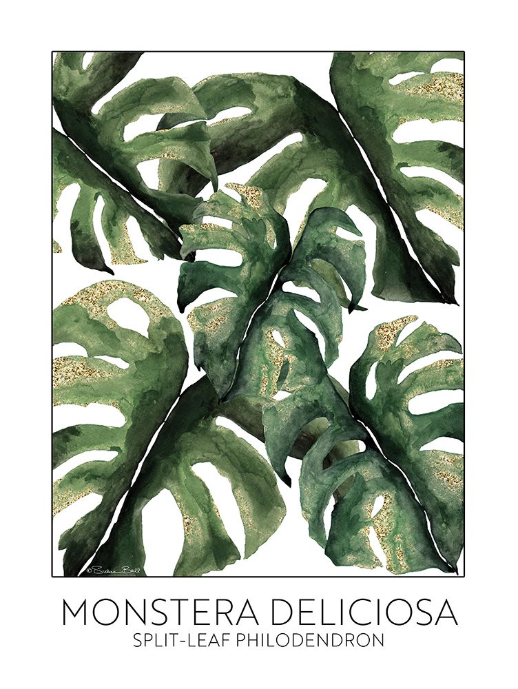 Split Leaf Philodendron art print by Susan Ball for $57.95 CAD