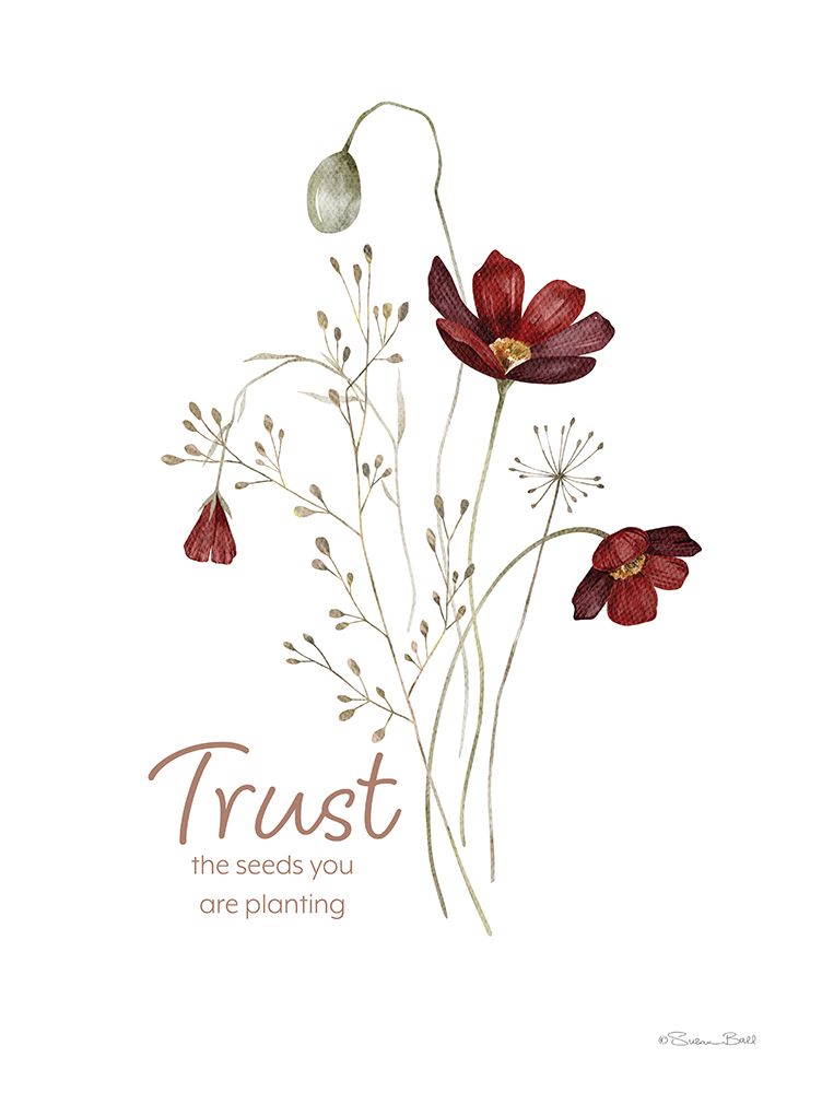 Trust the Seeds art print by Susan Ball for $57.95 CAD