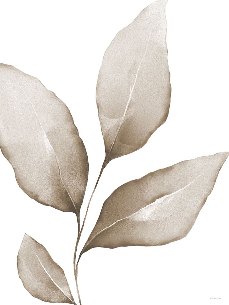 Neutral Simplicity Leaves 1 art print by Susan Ball for $57.95 CAD
