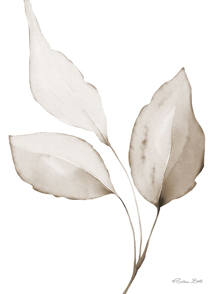 Neutral Simplicity Leaves 2 art print by Susan Ball for $57.95 CAD