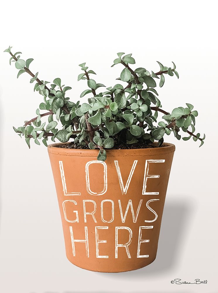 Succulent Love Grows Here art print by Susan Ball for $57.95 CAD