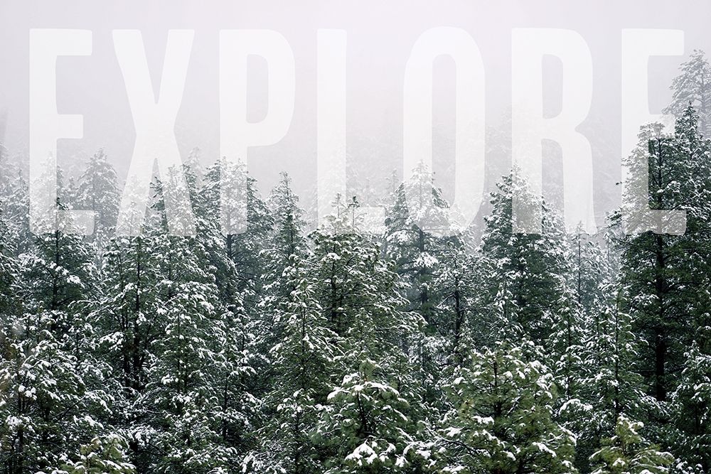 Explore art print by Susan Ball for $57.95 CAD