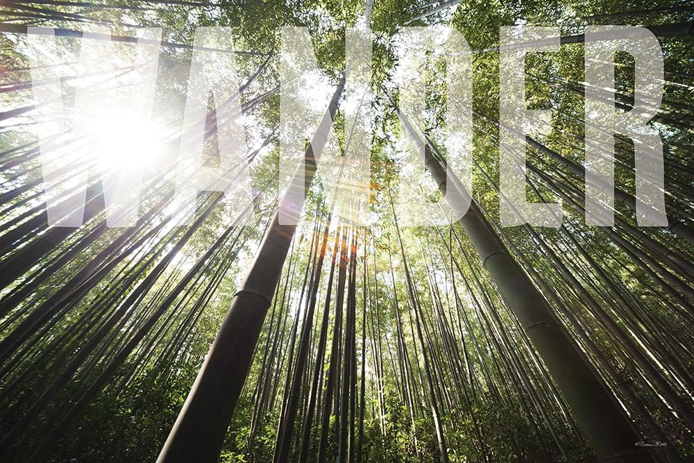 Wander art print by Susan Ball for $57.95 CAD