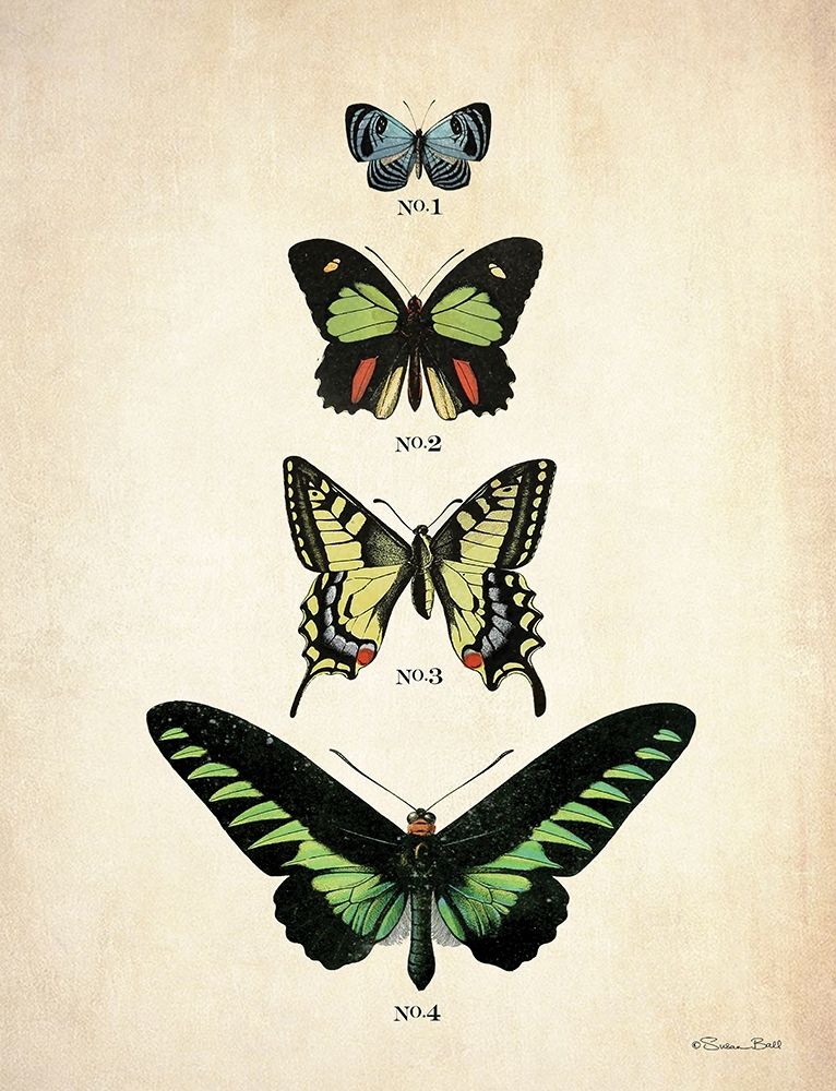 Butterflies 1 art print by Susan Ball for $57.95 CAD