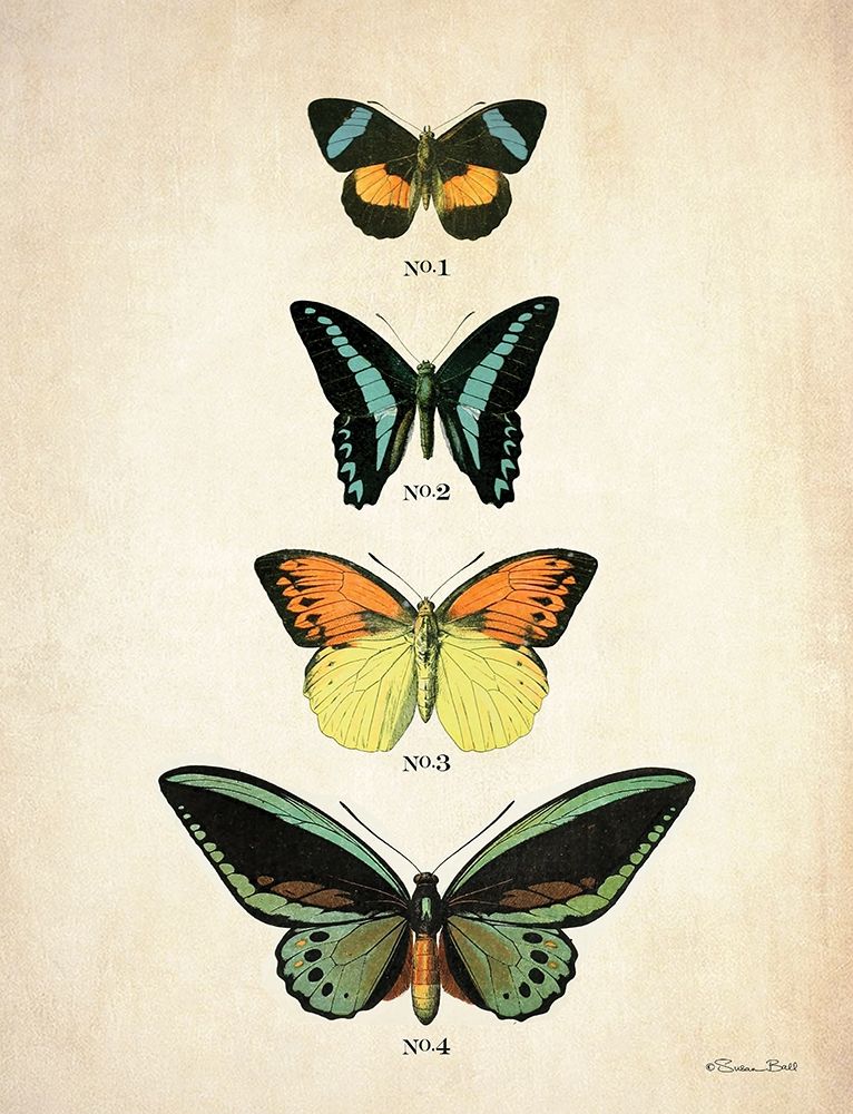 Butterflies 2 art print by Susan Ball for $57.95 CAD