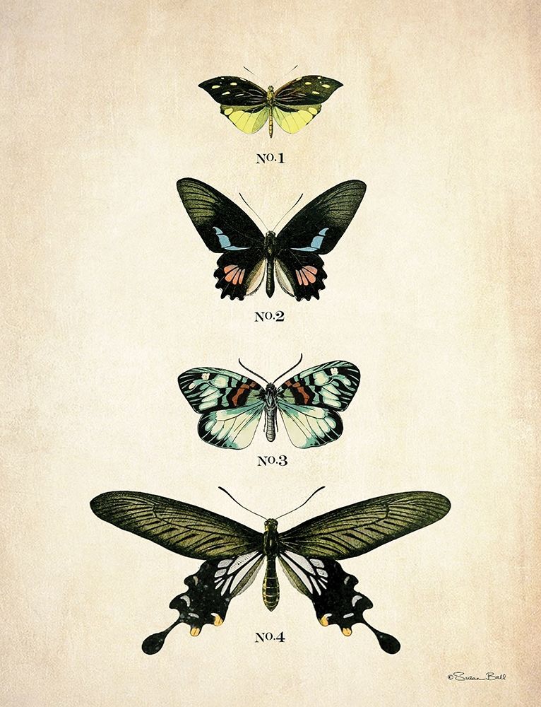 Butterflies 3 art print by Susan Ball for $57.95 CAD