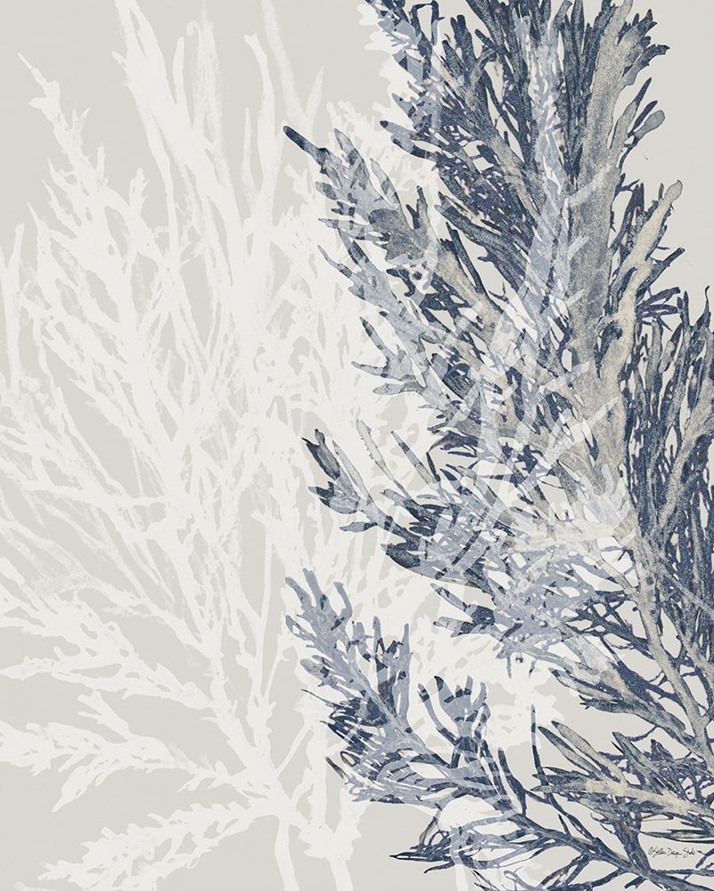 Transparent Coral 1 art print by Stellar Design Studio for $57.95 CAD