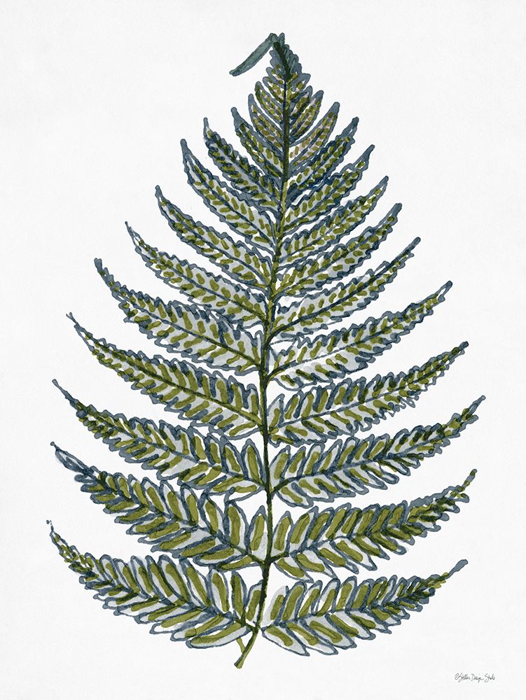 Leaf Sketch art print by Stellar Design Studio for $57.95 CAD