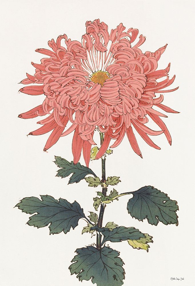 Pink Floral 1 art print by Stellar Design Studio for $57.95 CAD