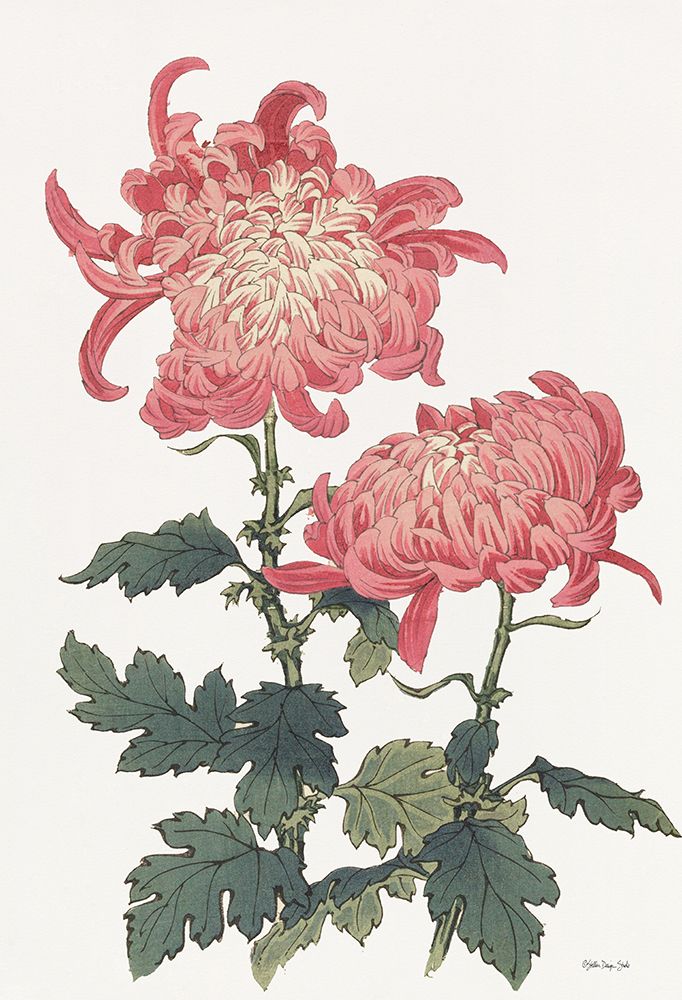 Pink Floral 3 art print by Stellar Design Studio for $57.95 CAD