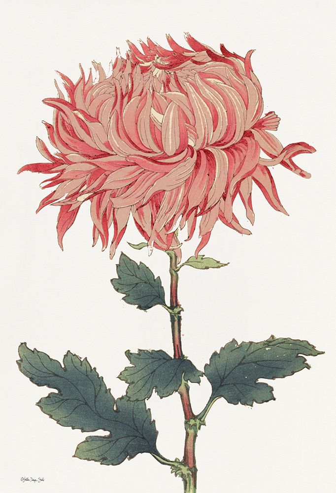 Pink Floral 4 art print by Stellar Design Studio for $57.95 CAD