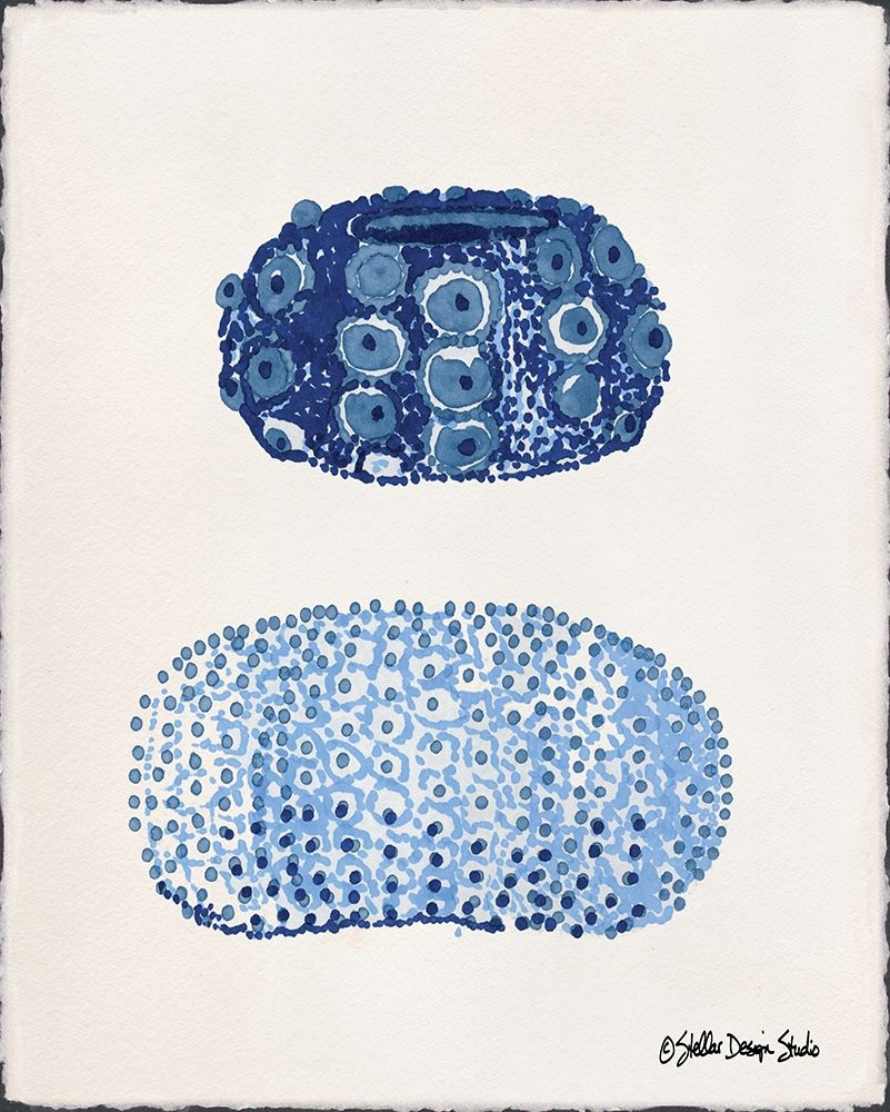 From the Sea 1 art print by Stellar Design Studio for $57.95 CAD
