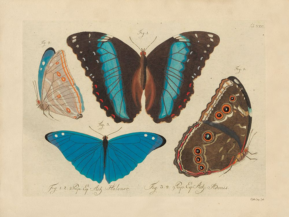 Vintage Butterflies 1 art print by Stellar Design Studio for $57.95 CAD
