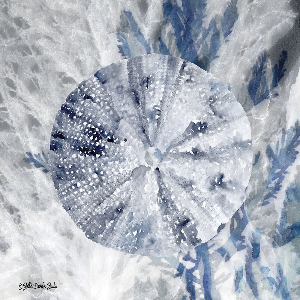 Ocean Collection 2 art print by Stellar Design Studio for $57.95 CAD