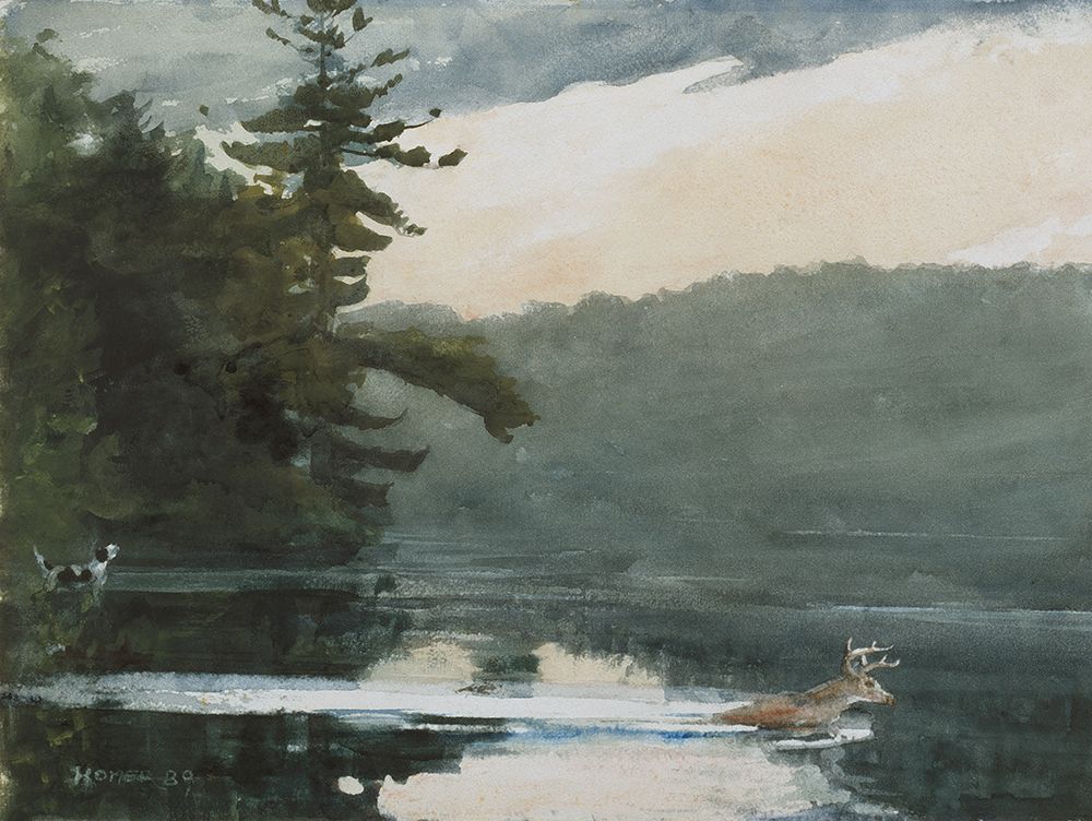 Deer in the Adirondack art print by Stellar Design Studio for $57.95 CAD