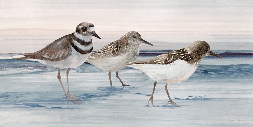Sandpipers art print by Stellar Design Studio for $57.95 CAD