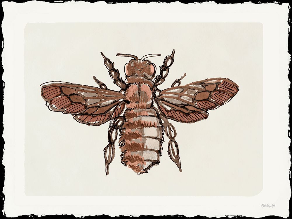 Bee Sketch 2 art print by Stellar Design Studio for $57.95 CAD
