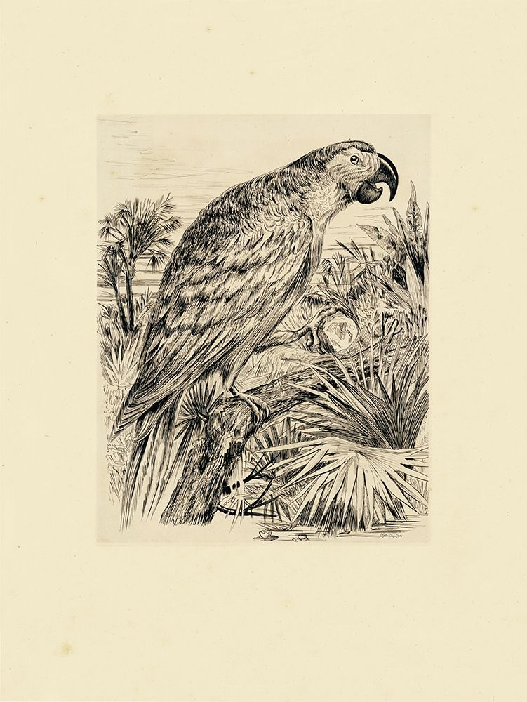 Parrot Illustration art print by Stellar Design Studio for $57.95 CAD