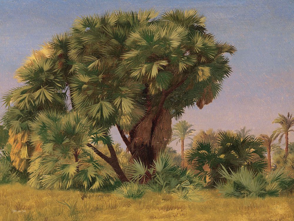 Study of Palm Trees art print by Stellar Design Studio for $57.95 CAD