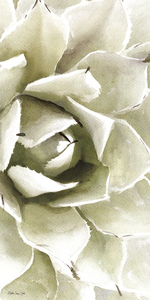 Agave Panel 1 art print by Stellar Design Studio for $57.95 CAD