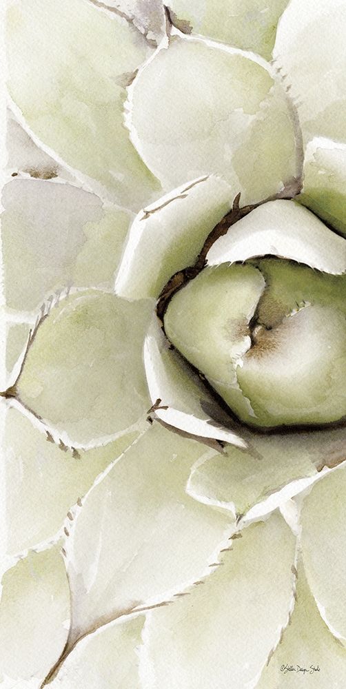 Agave Panel 2 art print by Stellar Design Studio for $57.95 CAD