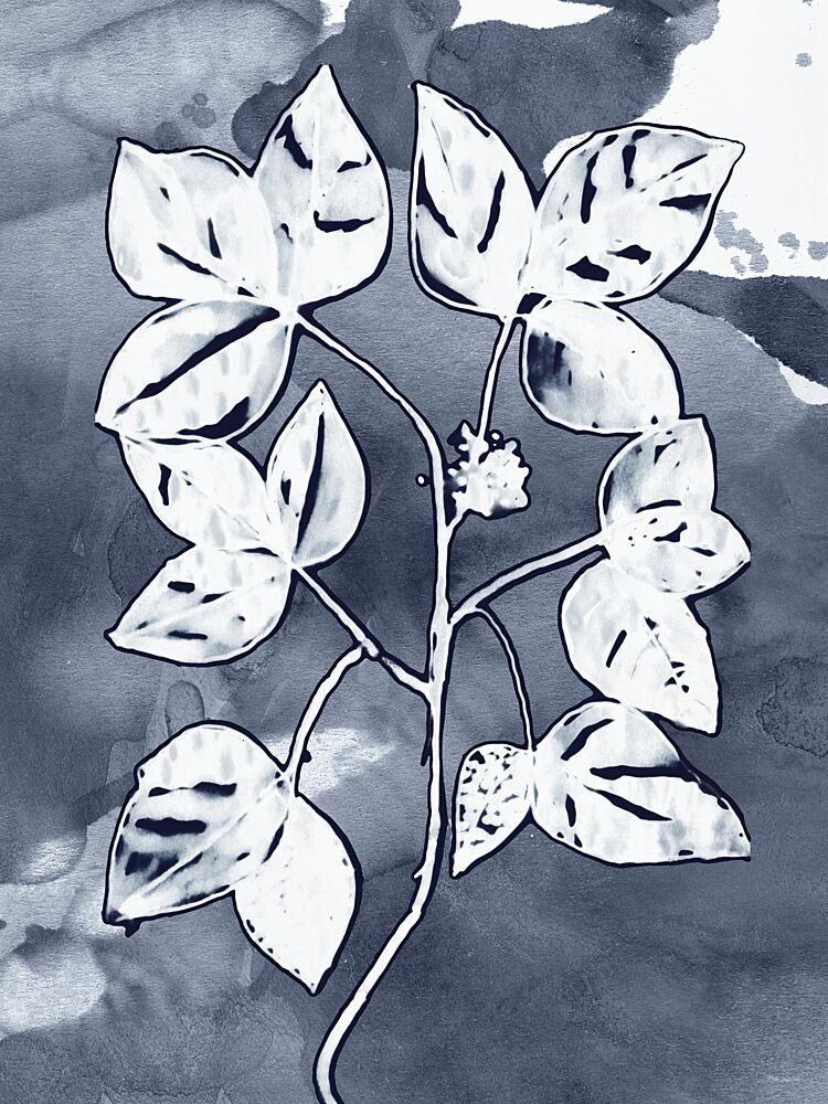 Indigo Branch 1 art print by Stellar Design Studio for $57.95 CAD
