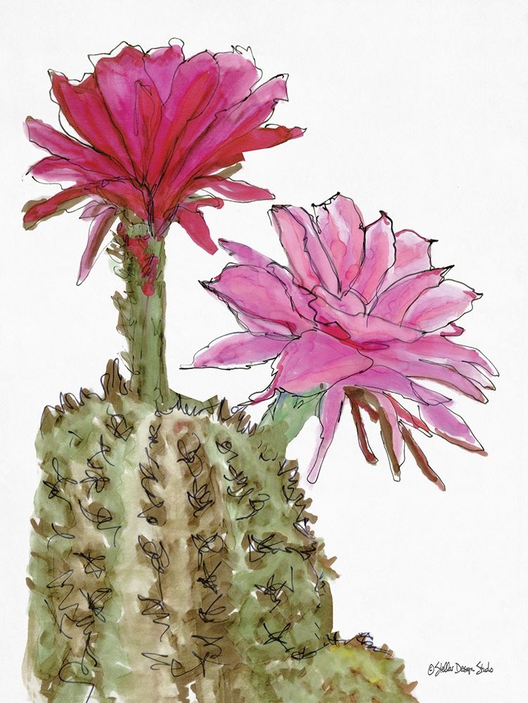 Cactus Flower 2 art print by Stellar Design Studio for $57.95 CAD