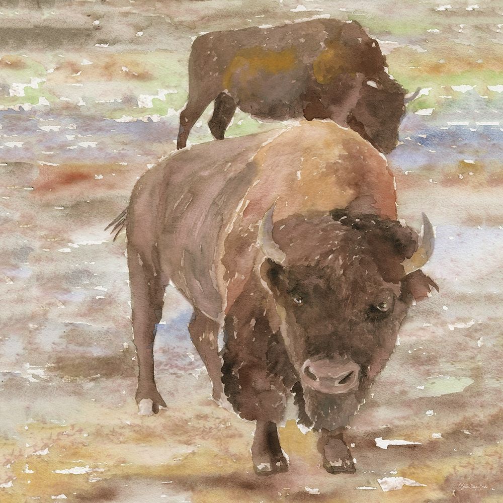 Great Buffalo art print by Stellar Design Studio for $57.95 CAD