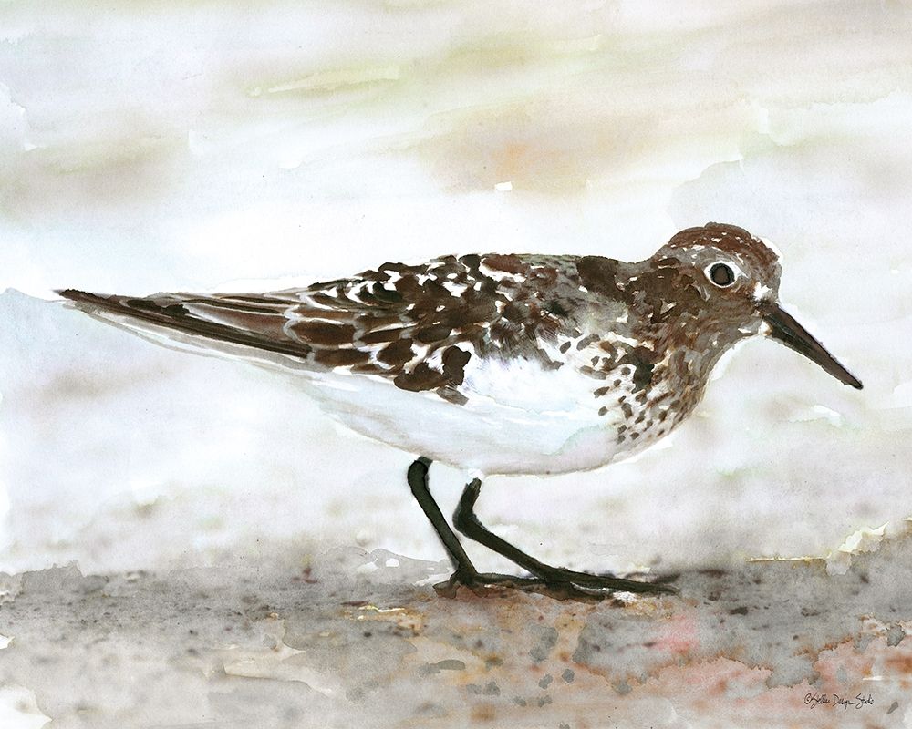 Sandpiper 1 art print by Stellar Design Studio for $57.95 CAD
